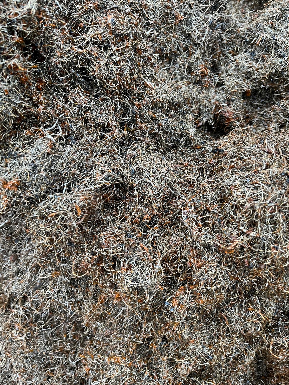 Ferrous Scrap 2